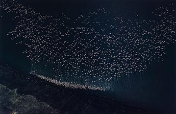 ERNST HAAS (1921-1986) Portfolio entitled The Creation. 1962-81; printed 1981.